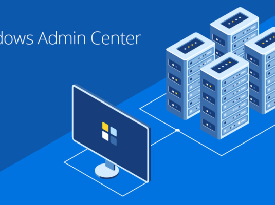 Администратор MS Windows